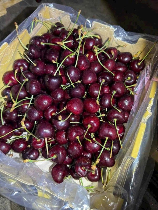 Cherry (1Kg)