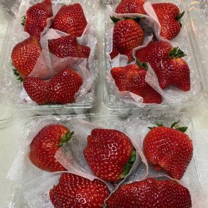 Dâu Tây Vip (1Kg)