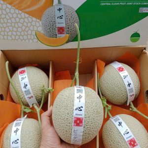 Dưa TL3 (1Kg)