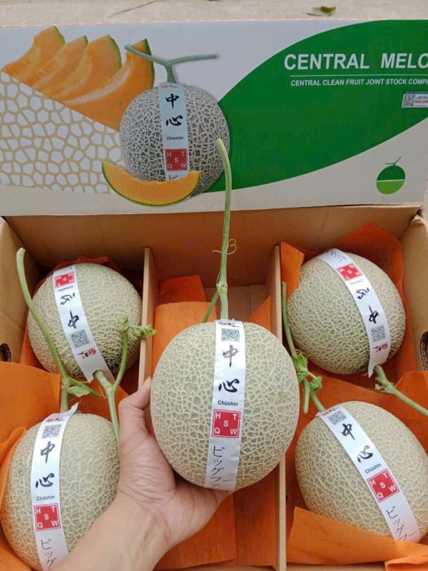 Dưa TL3 (1Kg)