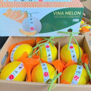 Dưa Kim Hoàng Hậu (1Kg)