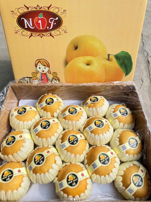Lê Nâu Hàn (1Kg)