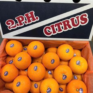 Quýt Úc (1Kg)