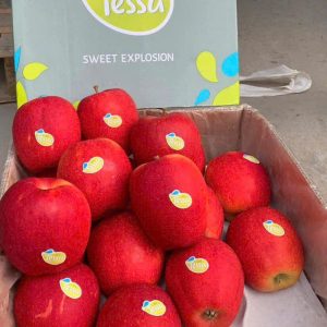 Táo Tesa Hà Lan (1Kg)