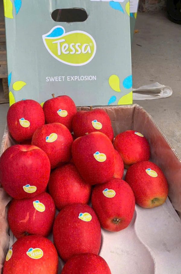 Táo Tesa Hà Lan (1Kg)