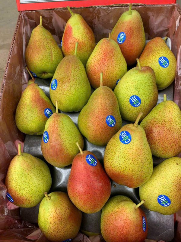 Lê Nam Phi (1kg)